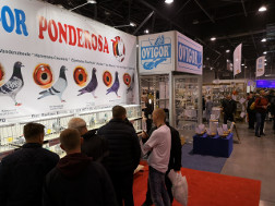 Targi ExpoGołębie 2019